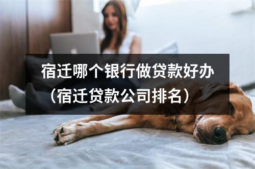 宿迁哪个银行做贷款好办（宿迁贷款公司排名）