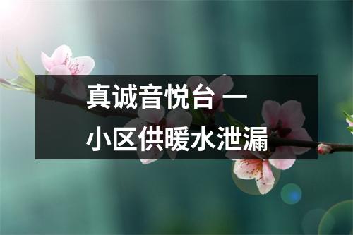 真诚音悦台 一小区供暖水泄漏