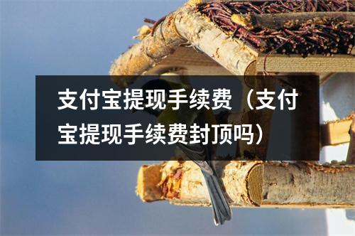 支付宝提现手续费（支付宝提现手续费封顶吗）