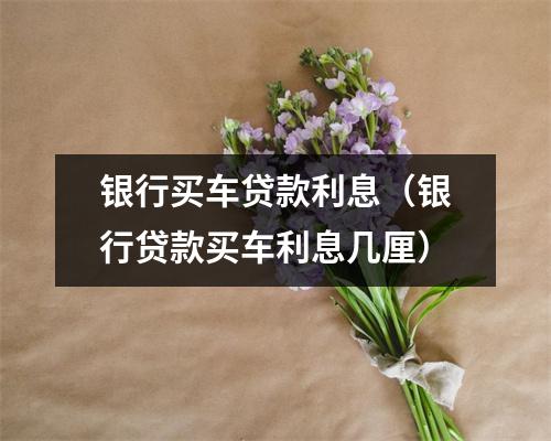 银行买车贷款利息（银行贷款买车利息几厘）