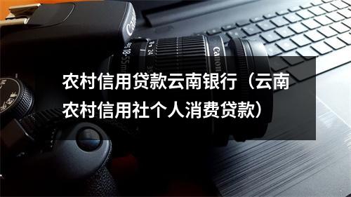 农村信用贷款云南银行（云南农村信用社个人消费贷款）
