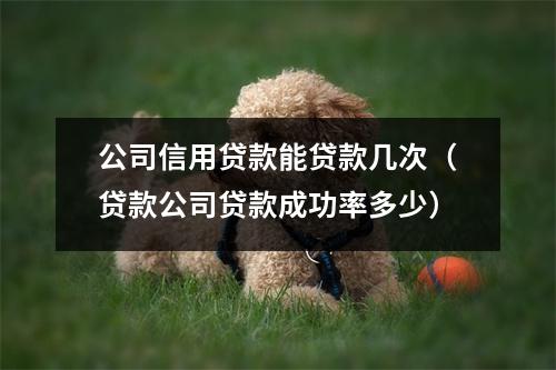 公司信用贷款能贷款几次（贷款公司贷款成功率多少）