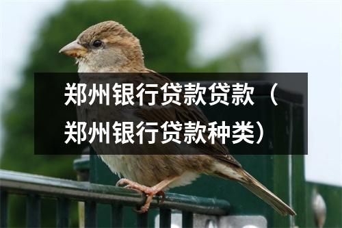 郑州银行贷款贷款(郑州银行贷款种类)