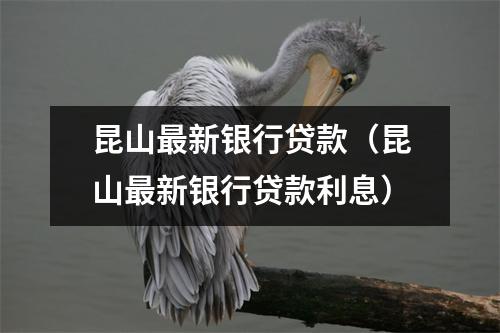 昆山最新银行贷款(昆山最新银行贷款利息)