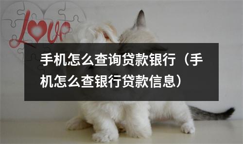 手机怎么查询贷款银行（手机怎么查银行贷款信息）