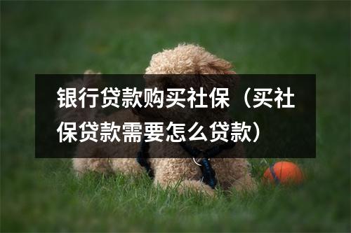 银行贷款购买社保(买社保贷款需要怎么贷款)