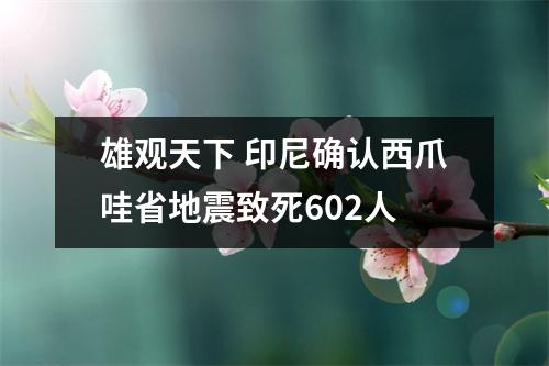 雄观天下 印尼确认西爪哇省地震致死602人