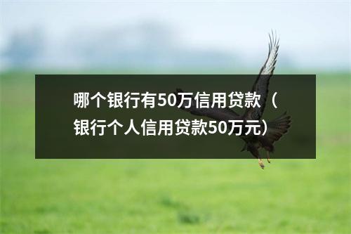 哪个银行有50万信用贷款（银行个人信用贷款50万元）