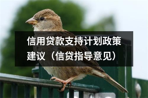 信用贷款支持计划政策建议（信贷指导意见）