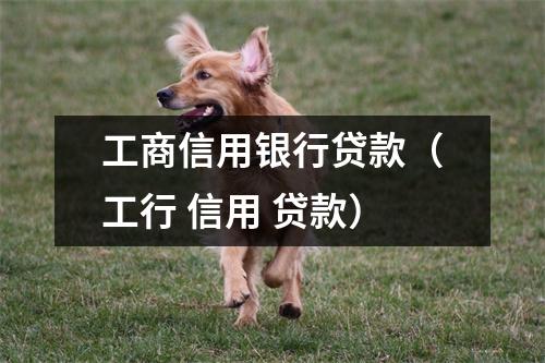 工商信用银行贷款（工行 信用 贷款）