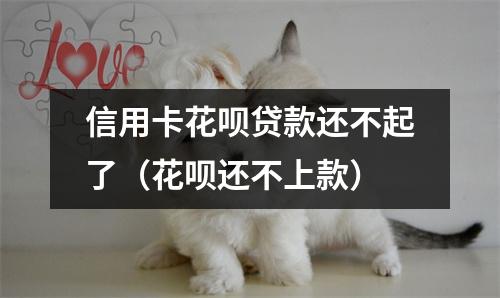信用卡花呗贷款还不起了（花呗还不上款）