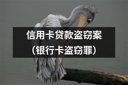 信用卡贷款盗窃案（银行卡盗窃罪）