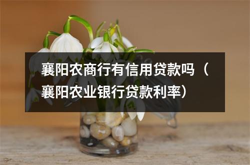 襄阳农商行有信用贷款吗（襄阳农业银行贷款利率）