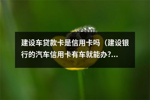 建设车贷款卡是信用卡吗(建设银行的汽车信用卡有车就能办?)