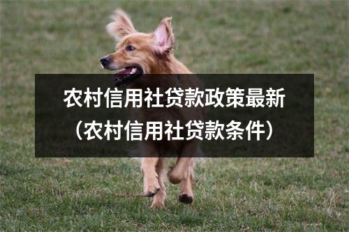 农村信用社贷款政策最新（农村信用社贷款条件）