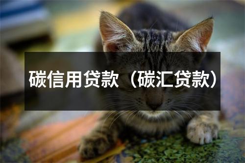 碳信用贷款（碳汇贷款）