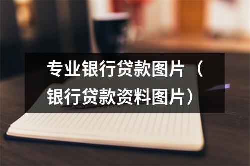 专业银行贷款图片（银行贷款资料图片）