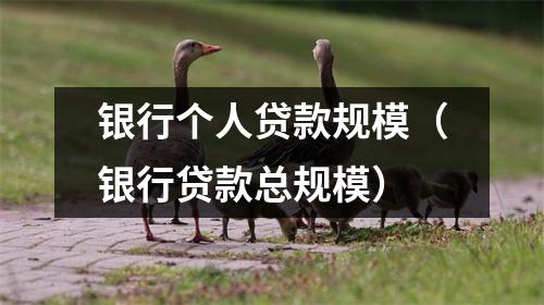 银行个人贷款规模（银行贷款总规模）