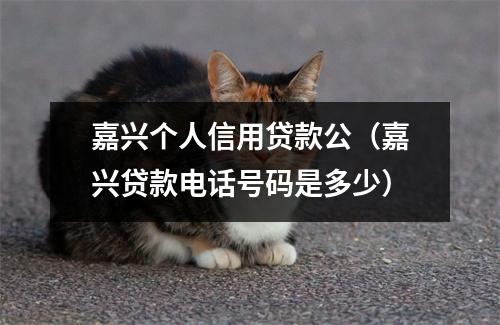 嘉兴个人信用贷款公（嘉兴贷款电话号码是多少）