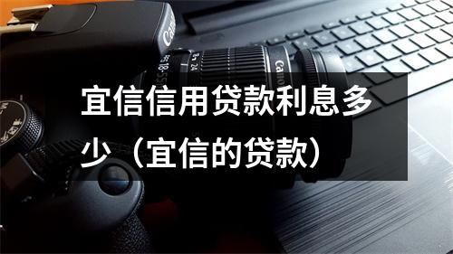宜信信用贷款利息多少（宜信的贷款）
