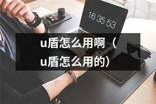 u盾怎么用啊(u盾怎么用的)