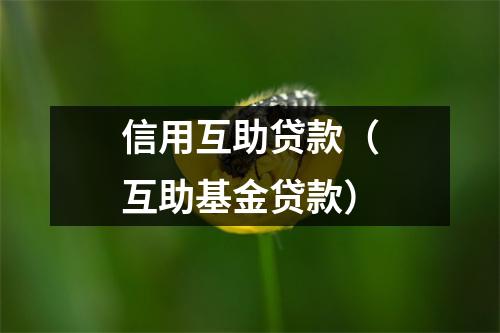 信用互助贷款（互助基金贷款）