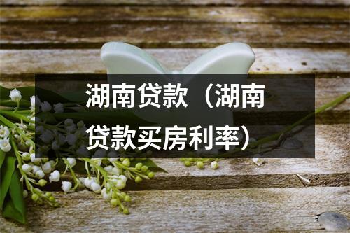 湖南贷款（湖南贷款买房利率）