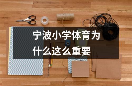 宁波小学体育为什么这么重要