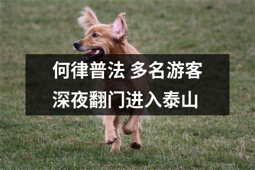 何律普法 多名游客深夜翻门进入泰山