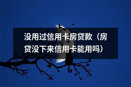 没用过信用卡房贷款（房贷没下来信用卡能用吗）