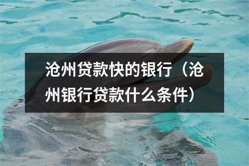 沧州贷款快的银行（沧州银行贷款什么条件）