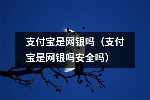 支付宝是网银吗(支付宝是网银吗安全吗)