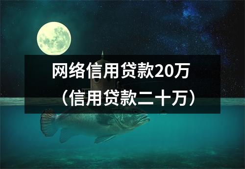 网络信用贷款20万（信用贷款二十万）