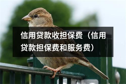 信用贷款收担保费（信用贷款担保费和服务费）