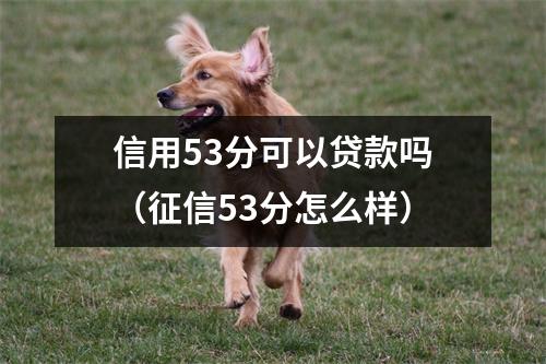 信用53分可以贷款吗（征信53分怎么样）