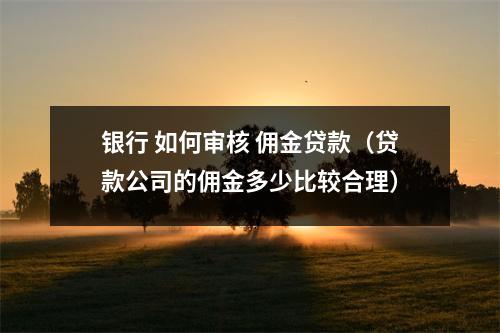 银行 如何审核 佣金贷款（贷款公司的佣金多少比较合理）