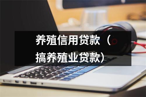 养殖信用贷款(搞养殖业贷款)