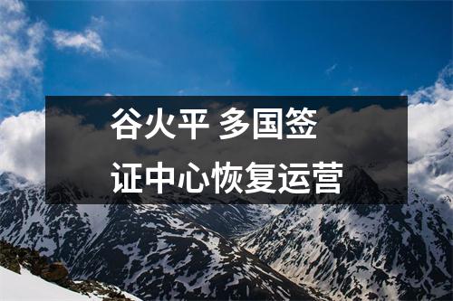 谷火平 多国签证中心恢复运营