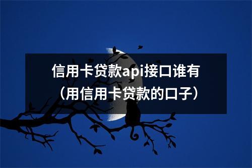 信用卡贷款api接口谁有（用信用卡贷款的口子）
