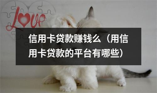 信用卡贷款赚钱么(用信用卡贷款的平台有哪些)