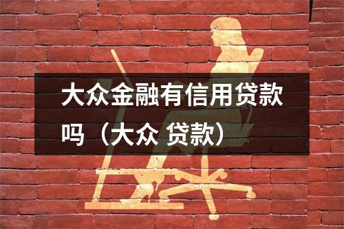 大众金融有信用贷款吗（大众 贷款）
