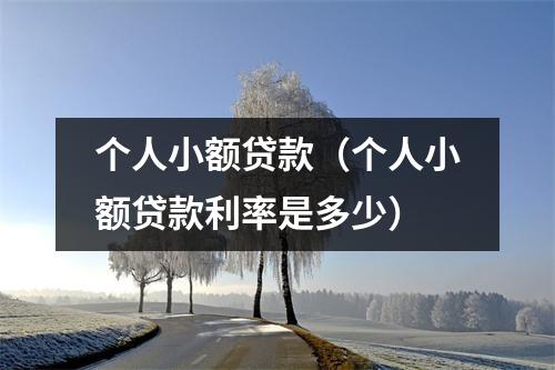 个人小额贷款（个人小额贷款利率是多少）