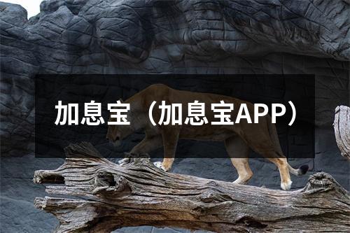 加息宝(加息宝APP)