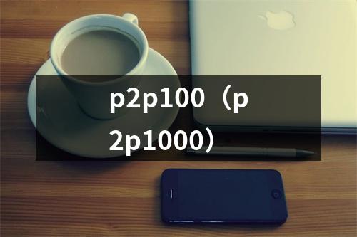 p2p100（p2p1000）