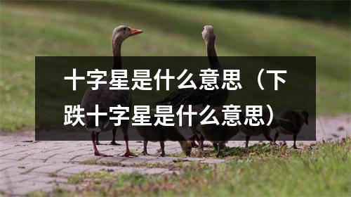 十字星是什么意思（下跌十字星是什么意思）