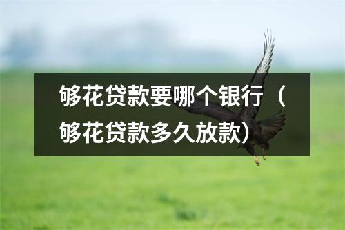 够花贷款要哪个银行（够花贷款多久放款）