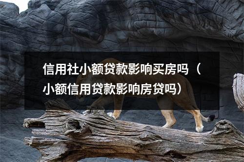 信用社小额贷款影响买房吗（小额信用贷款影响房贷吗）