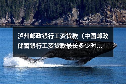 泸州邮政银行工资贷款（中国邮政储蓄银行工资贷款最长多少时间）