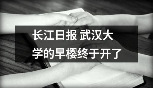 长江日报 武汉大学的早樱终于开了