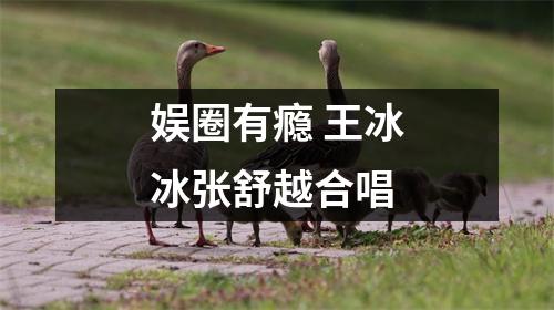 娱圈有瘾 王冰冰张舒越合唱